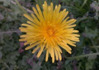 /album/michalova/a2013-05-16-17-00-26-jpg/
